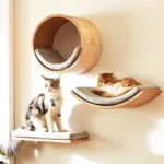 Wooden Cat Climbing Shelves Wall Mounted Cat Tree Sisal Scratching Post Pedal Hammock Indoor Kitten Playground Cats Accessories