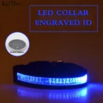 Engraved ID LED Dog Collar Luminous USB Custom Dog Tag Personalized Nylon Pet Dog Collar Led USB Light Night Safety Collar Perro - Image 18