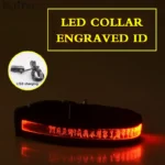 Engraved ID LED Dog Collar Luminous USB Custom Dog Tag Personalized Nylon Pet Dog Collar Led USB Light Night Safety Collar Perro - Image 16