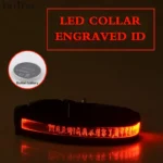 Engraved ID LED Dog Collar Luminous USB Custom Dog Tag Personalized Nylon Pet Dog Collar Led USB Light Night Safety Collar Perro - Image 15