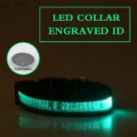 Engraved ID LED Dog Collar Luminous USB Custom Dog Tag Personalized Nylon Pet Dog Collar Led USB Light Night Safety Collar Perro - Image 13