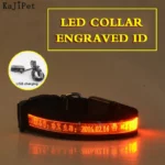Engraved ID LED Dog Collar Luminous USB Custom Dog Tag Personalized Nylon Pet Dog Collar Led USB Light Night Safety Collar Perro - Image 12