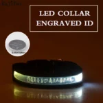 Engraved ID LED Dog Collar Luminous USB Custom Dog Tag Personalized Nylon Pet Dog Collar Led USB Light Night Safety Collar Perro - Image 9