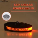 Engraved ID LED Dog Collar Luminous USB Custom Dog Tag Personalized Nylon Pet Dog Collar Led USB Light Night Safety Collar Perro - Image 11