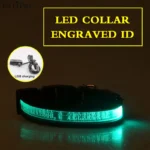 Engraved ID LED Dog Collar Luminous USB Custom Dog Tag Personalized Nylon Pet Dog Collar Led USB Light Night Safety Collar Perro - Image 20