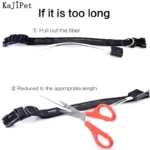 Engraved ID LED Dog Collar Luminous USB Custom Dog Tag Personalized Nylon Pet Dog Collar Led USB Light Night Safety Collar Perro - Image 4