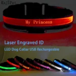 Engraved ID LED Dog Collar Luminous USB Custom Dog Tag Personalized Nylon Pet Dog Collar Led USB Light Night Safety Collar Perro