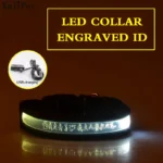 Engraved ID LED Dog Collar Luminous USB Custom Dog Tag Personalized Nylon Pet Dog Collar Led USB Light Night Safety Collar Perro - Image 14