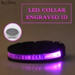 Engraved ID LED Dog Collar Luminous USB Custom Dog Tag Personalized Nylon Pet Dog Collar Led USB Light Night Safety Collar Perro - Image 17