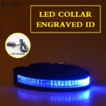 Engraved ID LED Dog Collar Luminous USB Custom Dog Tag Personalized Nylon Pet Dog Collar Led USB Light Night Safety Collar Perro - Image 19