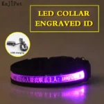 Engraved ID LED Dog Collar Luminous USB Custom Dog Tag Personalized Nylon Pet Dog Collar Led USB Light Night Safety Collar Perro - Image 10