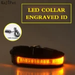 Engraved ID LED Dog Collar Luminous USB Custom Dog Tag Personalized Nylon Pet Dog Collar Led USB Light Night Safety Collar Perro - Image 8