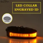 Engraved ID LED Dog Collar Luminous USB Custom Dog Tag Personalized Nylon Pet Dog Collar Led USB Light Night Safety Collar Perro - Image 7