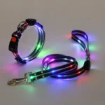 Dog Colorful Led Dog Luminous Collar Rechargeable Luminous Dog Rope Nylon Pvc Wrapped Tape Pet Luminous Collar - Image 15