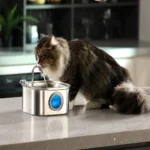 3.2L Stainless Steel Pet Water Feeder Auto Cat Fountain Smart Dog Water Dispenser Visual Window Drinking Bowl Pet Accessories - Image 3