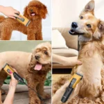 Pet Clipper Professional Dog Hair Trimmer Cat Grooming Shaver Type-C Charged Electric Puppy Cutting Machine for Small Big animal - Image 4