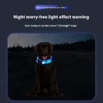 Dog Colorful Led Dog Luminous Collar Rechargeable Luminous Dog Rope Nylon Pvc Wrapped Tape Pet Luminous Collar - Image 2