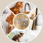 3.2L Pet Water Feeder With Transparent Window Silent Filter With Faucet Stainless Steel Automatic Dog Drinking Fountain - Image 5