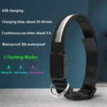 Engraved ID LED Dog Collar Luminous USB Custom Dog Tag Personalized Nylon Pet Dog Collar Led USB Light Night Safety Collar Perro - Image 2