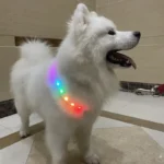 Led Dog Collar Pet Dog Collar Night Puppy Pet Cats Collars Glowing Luminous USB Rechargeable Night Safety Flashing Glow Color - Image 2