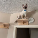 Cat Wall Steps Wooden Cat Climbing Shelf for Wall Cats Wall Stairs with Scratching Mat Wall Mounted Cats Furniture for Jumping - Image 5