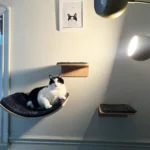 Cat Wall Steps Wooden Cat Climbing Shelf for Wall Cats Wall Stairs with Scratching Mat Wall Mounted Cats Furniture for Jumping - Image 2