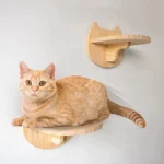Cat Wall Climbing Shelf Steps Ladder Scratching Post Scratcher Bed Hiding House for Cats Tree Tower Pet Furniture Accessories - Image 6