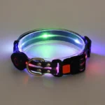 Dog Colorful Led Dog Luminous Collar Rechargeable Luminous Dog Rope Nylon Pvc Wrapped Tape Pet Luminous Collar - Image 11