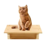 1PC Cat Tree Wall Mounted Cat Shelves Scratching Post for Cat Jumping Platform and Cat Hammock Rope Ladder Wall Wooden Furniture - Image 16
