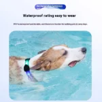 Dog Colorful Led Dog Luminous Collar Rechargeable Luminous Dog Rope Nylon Pvc Wrapped Tape Pet Luminous Collar - Image 3