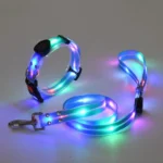 Dog Colorful Led Dog Luminous Collar Rechargeable Luminous Dog Rope Nylon Pvc Wrapped Tape Pet Luminous Collar - Image 14