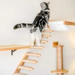 Cat Wall Climbing Shelves Hammock Scratching Post Scratcher Bed Hiding House DIY Cats Tree Tower Gym Pet Furniture Accessories - Image 3